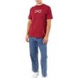 Camiseta Masculina Vans Determined Bordeaux White-V4703103130001- -4-